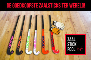 zaal_stick_pool